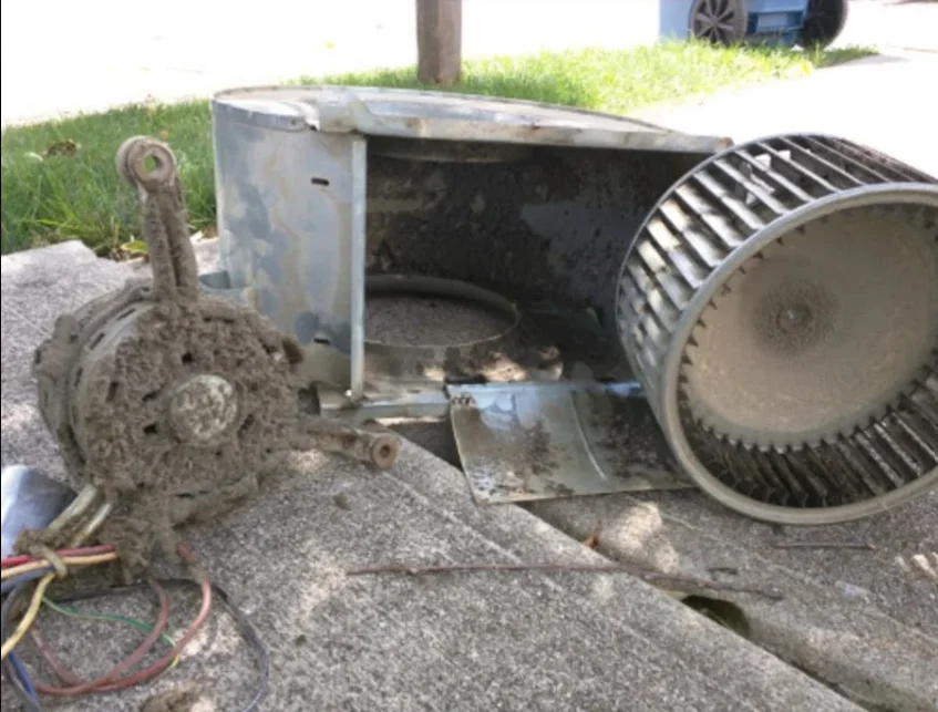 HVAC blower wheel and motor assembly disassembled for cleaning, showing dust buildup on components