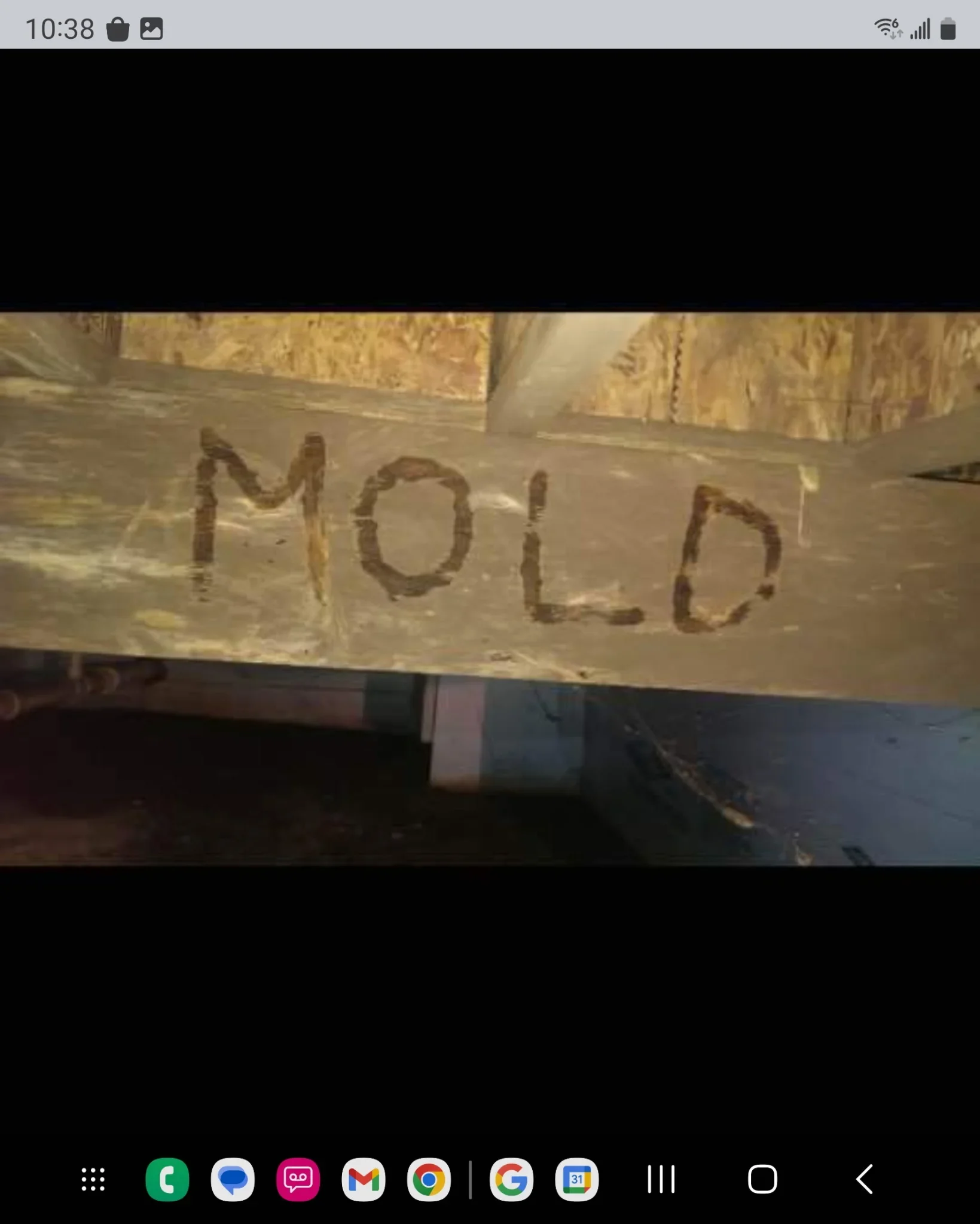 Mold growth on wooden framing and fiberglass insulation in attic space